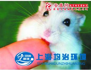 被老鼠咬傷之后應該怎么辦