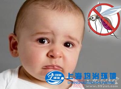 綠色驅(qū)蚊妙招 讓寶寶安然度夏