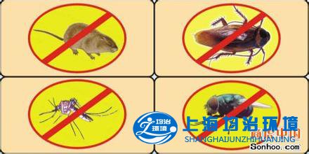 蟑螂對(duì)人類危害比老鼠蚊子還要大