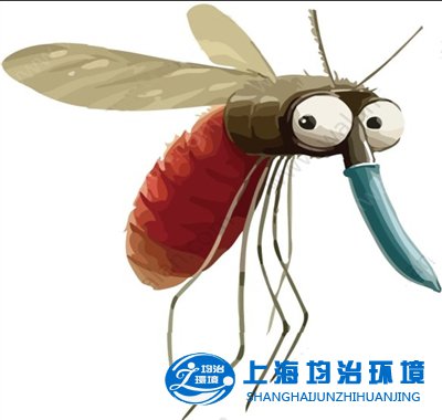 你猜”小強(qiáng)“住哪里？